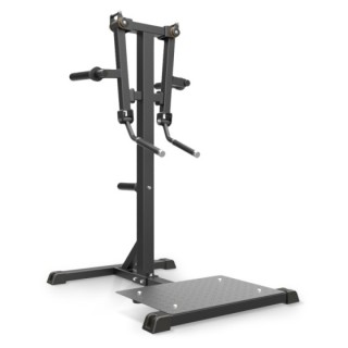 Standing Lateral Raise Impulse IFP1103