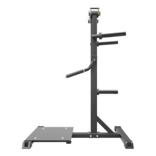 Standing Lateral Raise Impulse IFP1103